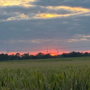 Meet your Posher, Cathy Rice